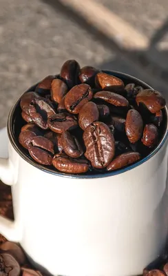 Lavazza Prontissimo Intenso