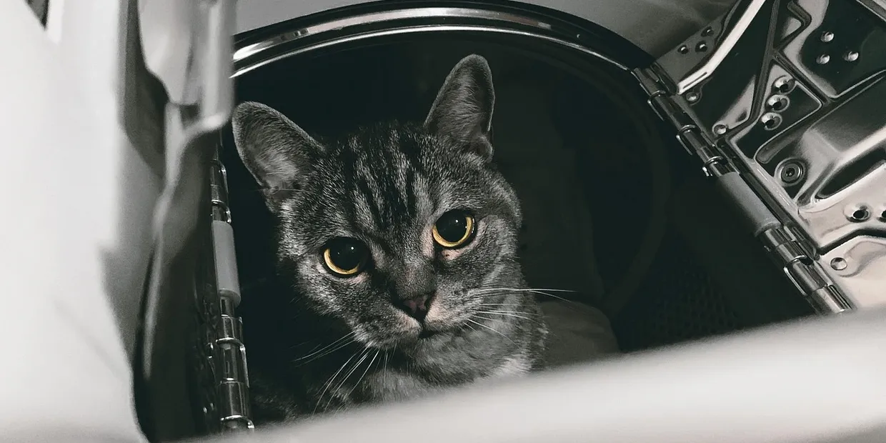 How To Install A Vented Tumble Dryer