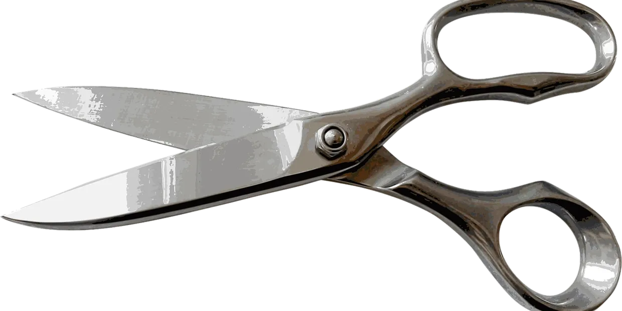 When To Cut New Grass