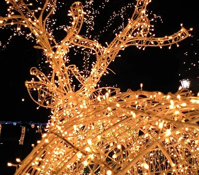 Icicle Lights 360 LED Outdoor Christmas Lights