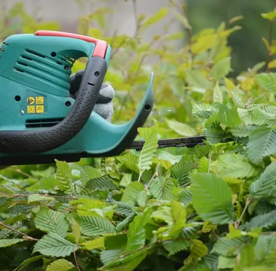 Terratek 20V Long Reach Cordless Electric Hedge Trimmer