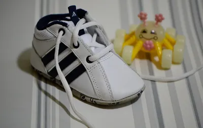 adidas Adipower 4orged S Golf Shoes