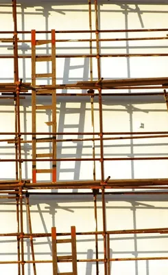 WolfWise Telescoping Ladder