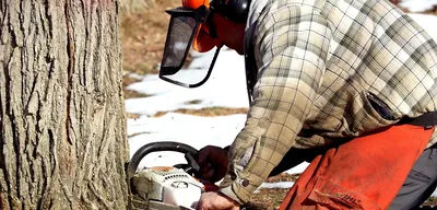 McCulloch CSE2040S Electric Chain Saw