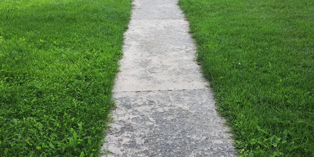 best moss killer for lawns