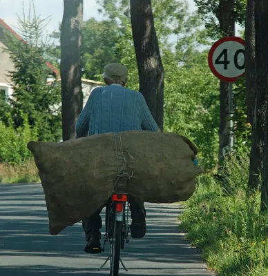 Waterfly Pannier Bag