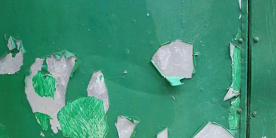 Best Emulsion Paint