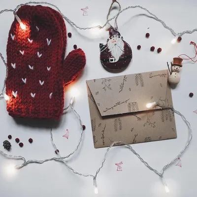 100LED Photo Clip String Lights
