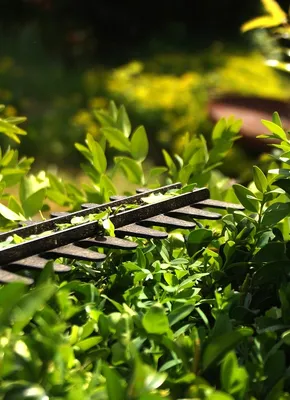 Mitox 28LH-a Select Petrol Long Reach Hedge Trimmer