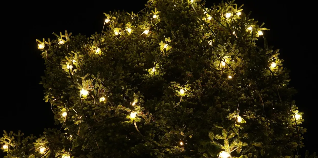 Best Fibre Optic Christmas Tree