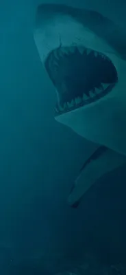 Shark Klik n Flip Automatic Steam Mop