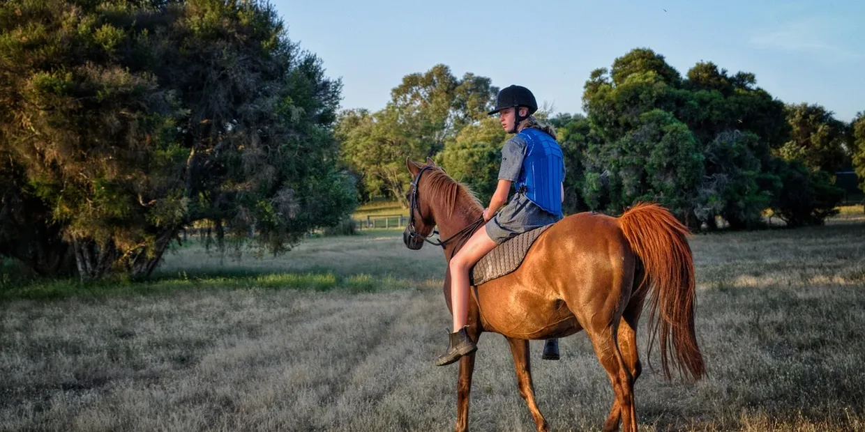 Best Saddle Bag