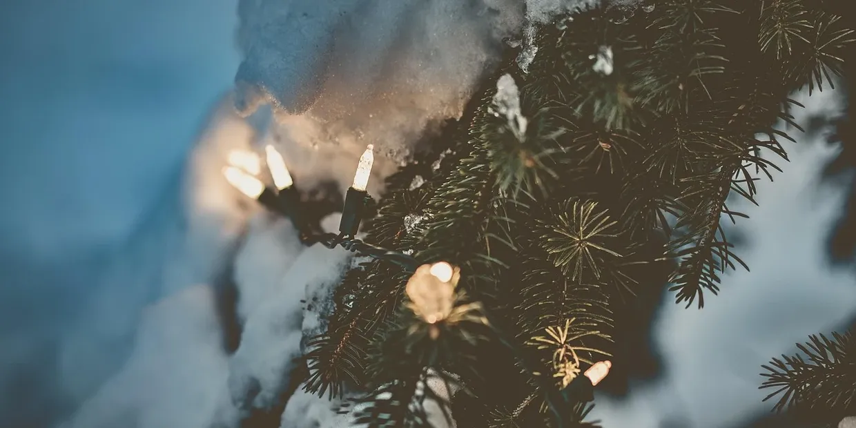 Best Outdoor Christmas Lights UK