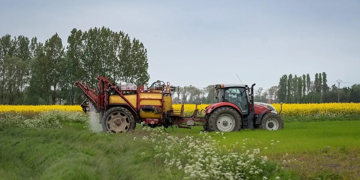 Best Weed Killer