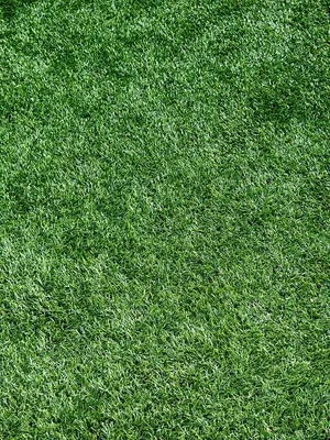 Luxury 30mm Pile Height Artificial Grass