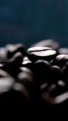 illy Classico Coffee Beans