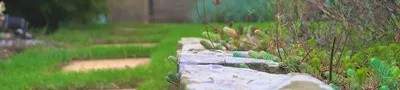 Stihl HS45 Hedge Trimmer