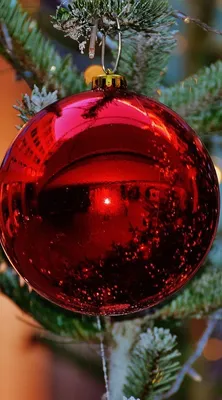 DWA CHRISTMAS TREE