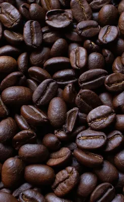 Solimo Arabica Coffee Beans