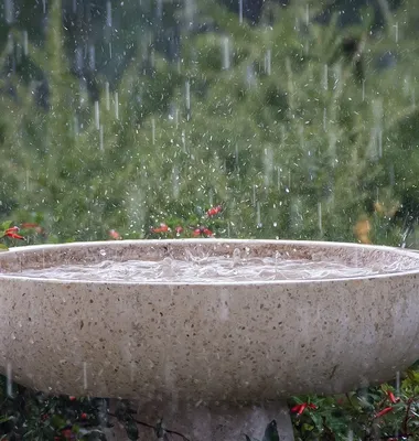 BassPal Shower Speaker