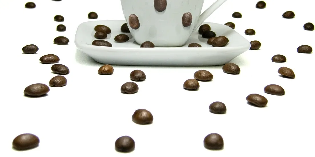 Best Bean To Cup Coffee Machine