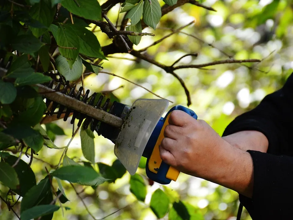 Best Extendable Hedge Trimmer