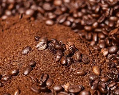 New Kings Coffee Fresh Ground Coffee Bags