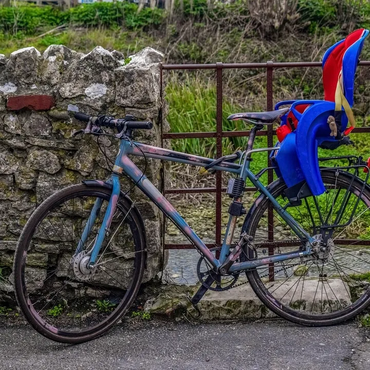 Electric Bike Conversion Kit Reviews