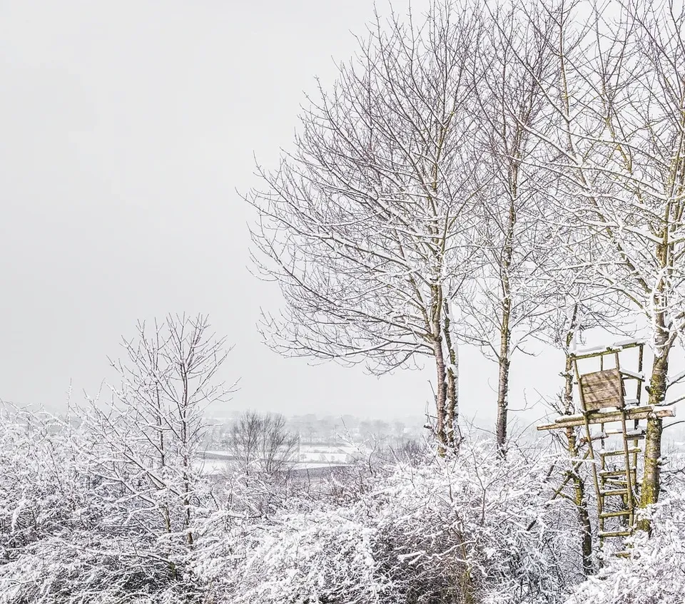 best real christmas tree stand