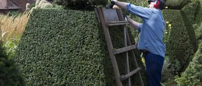 Ryobi OHT1855R