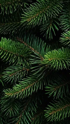 KEPLIN GREEN ARTIFICIAL CHRISTMAS TREE