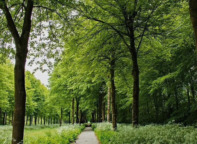 how to find cycle routes on google maps