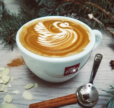 illy Coffee Decaffeinated Ground Coffee