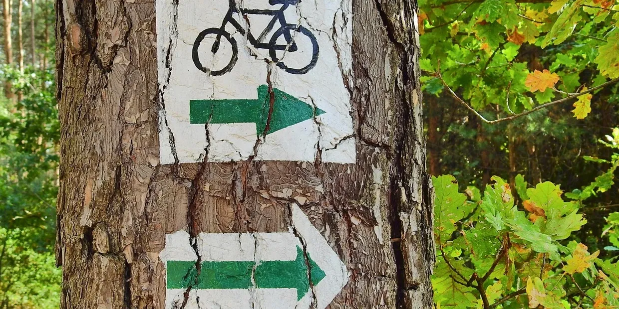 How To Plan A Cycle Route On Google Maps