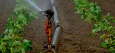 Karcher Premium Oscillating Sprinkler