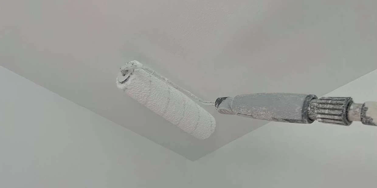 Best Anti Mould Paint