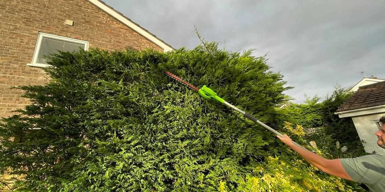 Best Long Reach Hedge Trimmer