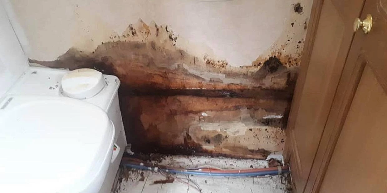 how to fix caravan damp wall damage